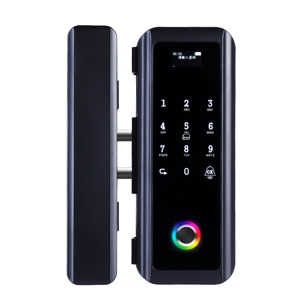 Smart Lock TTLOCK APP Control Glass Door Lock