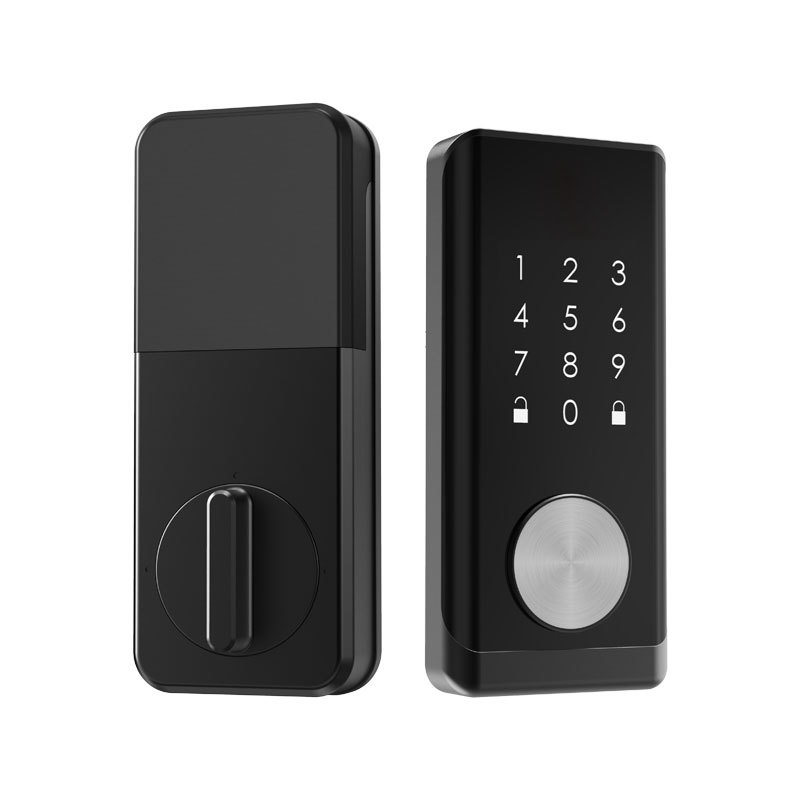 Smart Lock TTLOCK APP Control