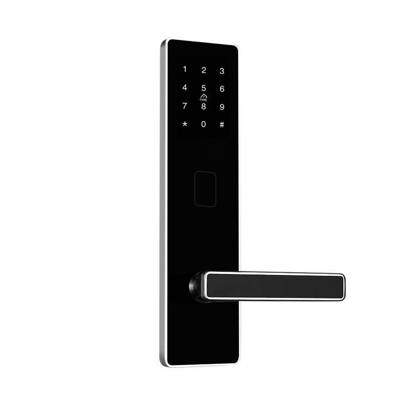 Smart Lock TTLOCK APP Control