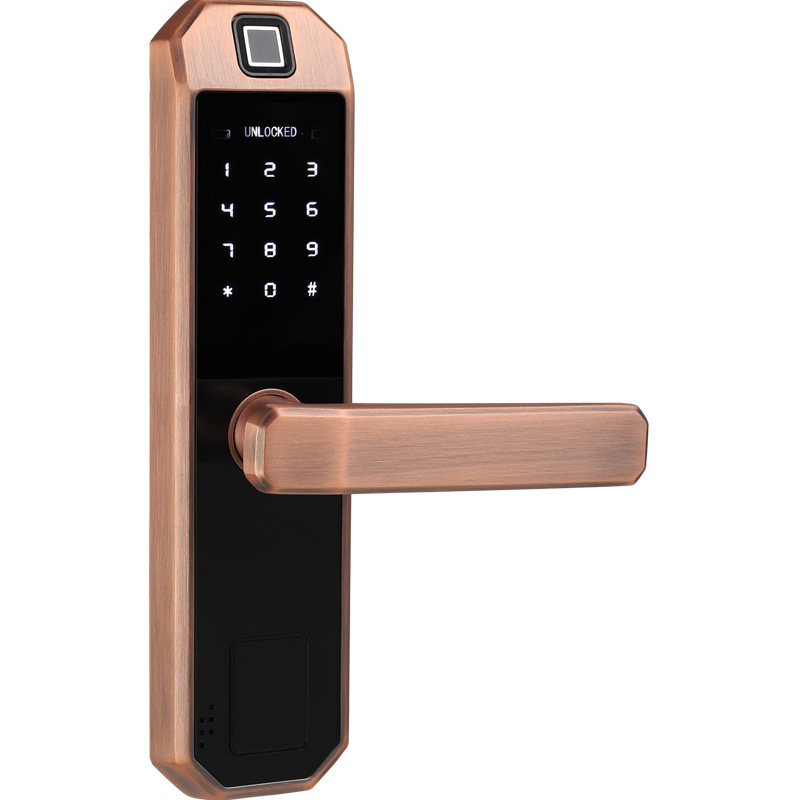 Smart Lock TTLOCK APP Control