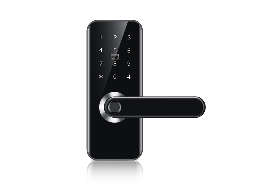 Smart Lock with fingerprint TTLOCK APP DF820