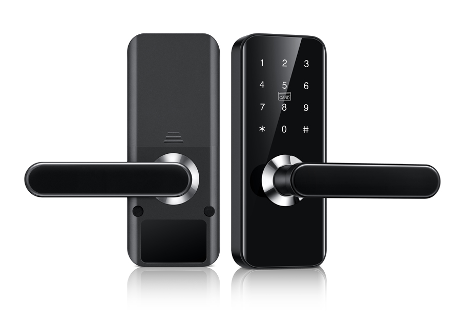 Smart Lock without fingerprint TTLOCK APP DF810