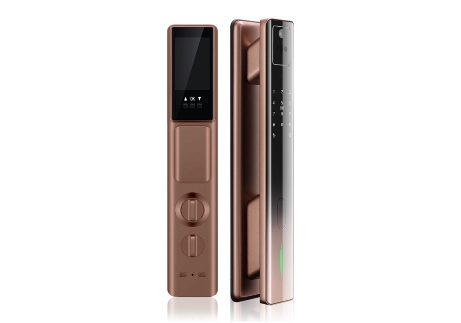 Smart Lock with Face ID TTLOCK APP DF730PRO